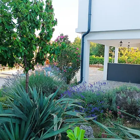 House Barisic Вилла